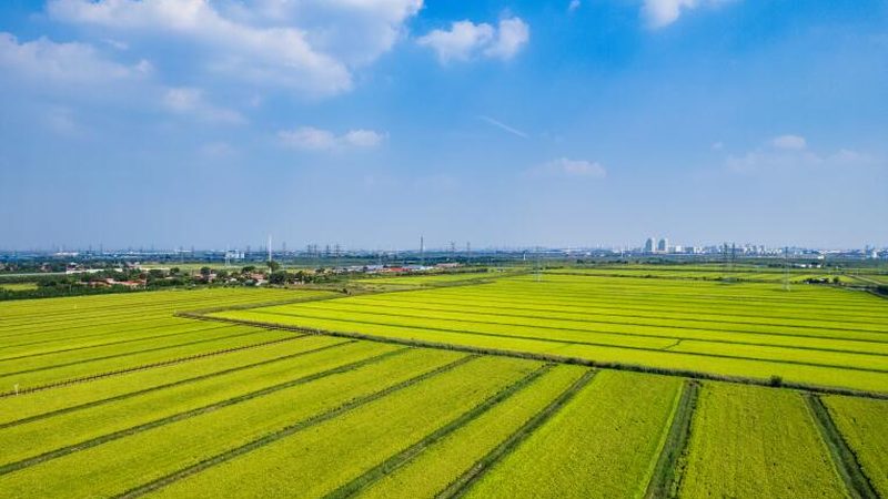 食品级材质检测规范：守护舌尖上的安全