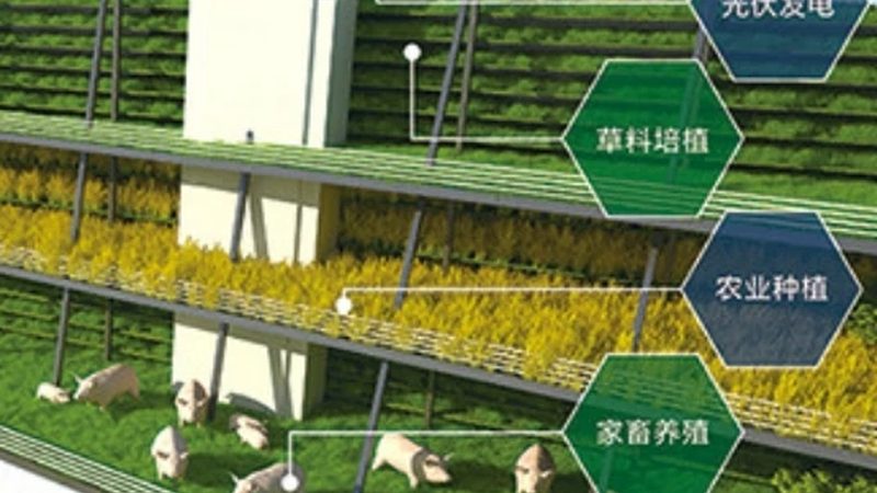 山东农资批发市场采购指南