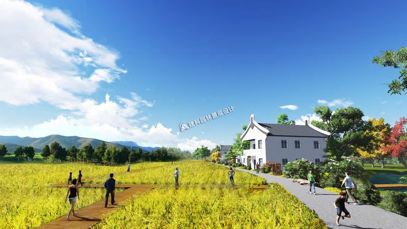 农业种植注意事项：如何保障产量与品质并重
