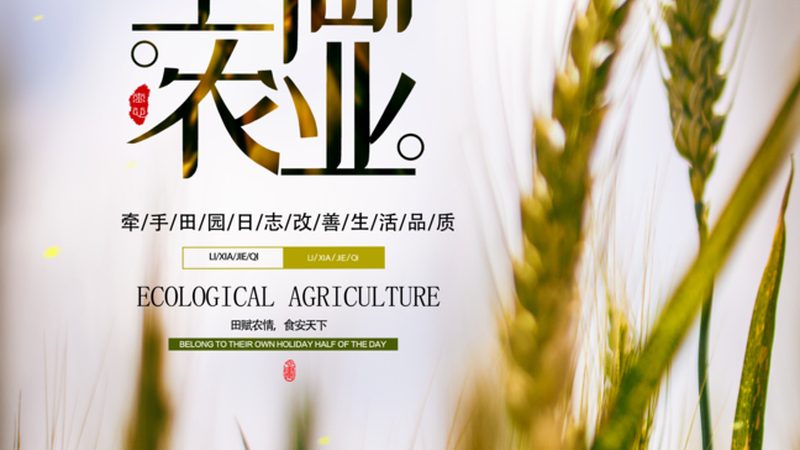 行业现状：设施农业的蓬勃发展