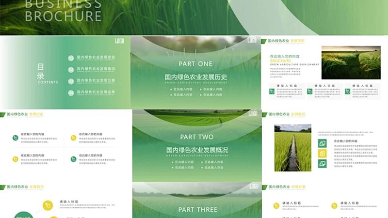有机蔬菜定制套餐代理模式：如何构建可持续的农业生态链**