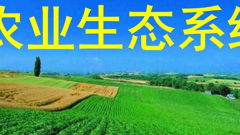 家庭农场种植规划方案