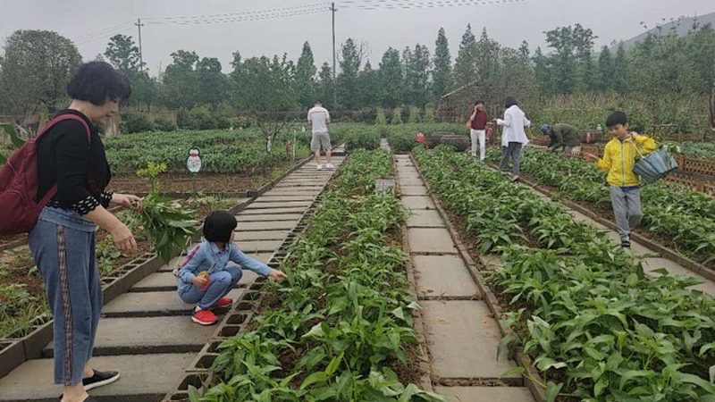 农产品批发代理：风险与机遇并存