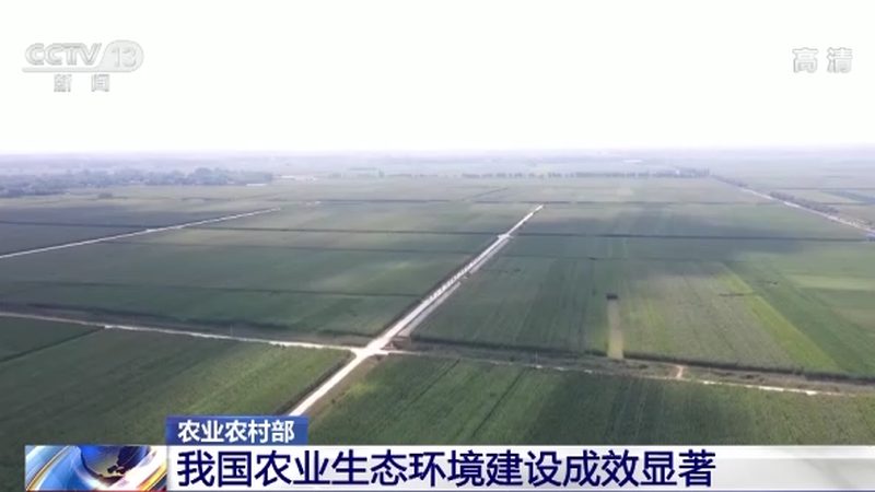 广州蔬菜配送每吨报价：揭秘蔬菜供应链的定价逻辑**