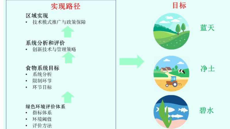 南方大棚水果种植成本解析：如何降低成本，提高效益
