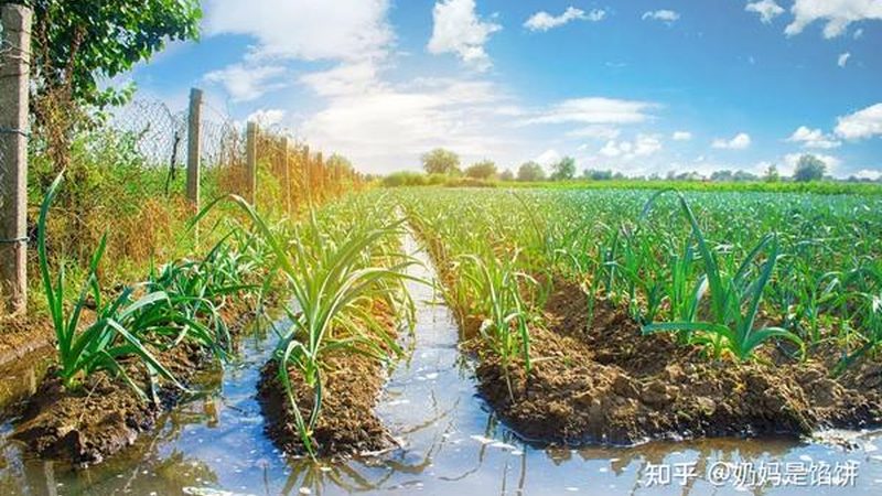 北京农业产业园补贴申请，这些条件你了解吗？**